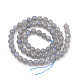Natural Labradorite Beads Strands&nbsp;G-T064-70A-2