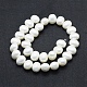 Shell Pearl Beads Strands&nbsp;BSHE-F001-02B-2