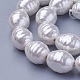 Shell Pearl Beads Strands&nbsp;BSHE-P030-03D-3