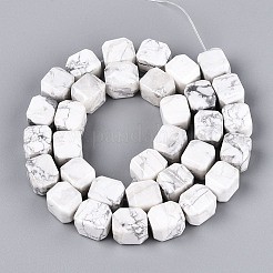 Natural Howlite Beads Strands&nbsp;G-N353-03A-07