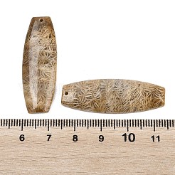 Natural Fossil Coral Pendants&nbsp;G-B187-01C-09