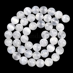 Natural Selenite Beads Strands&nbsp;X-G-G167-A01-01