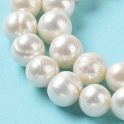 Natural Cultured Freshwater Pearl Beads Strands&nbsp;PEAR-E019-03