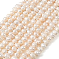 Natural Cultured Freshwater Pearl Beads Strands&nbsp;PEAR-L034-16B