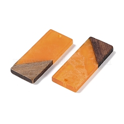 Resin & Wood Pendants&nbsp;WOOD-F015-09G