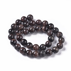Natural Tiger Eye Beads Strands&nbsp;G-K301-10mm-01