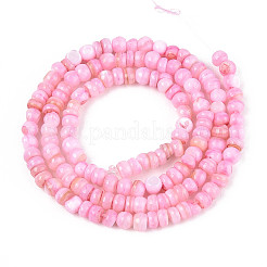 Natural Freshwater Shell Dyed Beads Strands&nbsp;SHEL-T020-29A-06