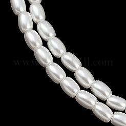 Electroplated Shell Pearl Beads Strands&nbsp;BSHE-H113-06B-06