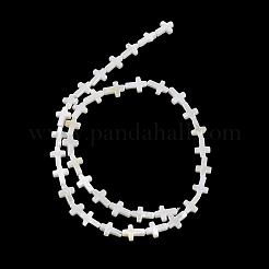 Natural Freshwater Shell Beads Strands&nbsp;BSHE-G036-05A