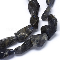 Natural Cordierite/Iolite/Dichroite Beads Strands&nbsp;G-O173-002