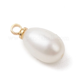 Natural Cultured Freshwater Pearl Pendants&nbsp;PALLOY-JF05170-02
