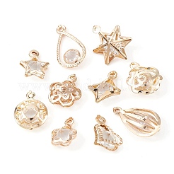 100Pcs 10 Styles Rack Plating Eco-Friendly Iron Charms&nbsp;IFIN-YW0001-87