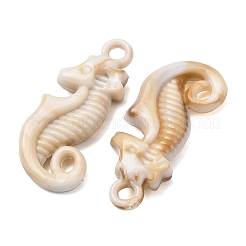 Imitation Shell Acrylic Pendants&nbsp;SACR-K005-03B