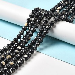 Synthetic Turquoise and Sea Shell Assembled Beads Strands&nbsp;G-D482-01C