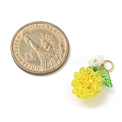Transparent Glass Pendants&nbsp;PALLOY-MZ00905-01
