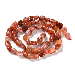 Natural South Red Agate Beads Strands&nbsp;G-P497-01C-06