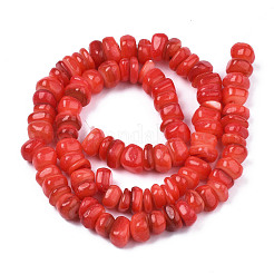 Natural Trochid Shell/Trochus Shell Beads Strands&nbsp;SHEL-S258-081-B06
