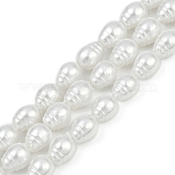 Electroplate Porcelain Imitation Pearl Beads Strands&nbsp;BSHE-Z009-04
