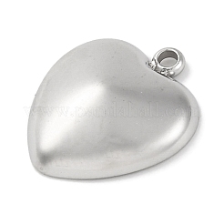 Anti-Tarnish 304 Stainless Steel Pendants&nbsp;STAS-D194-11S