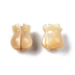 Natural Trochid Shell/Trochus Shell Beads&nbsp;SSHEL-N003-145A-A01