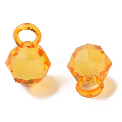 Transparent Acrylic Pendants&nbsp;MACR-S373-125-B08