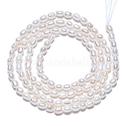 Natural Cultured Freshwater Pearl Beads Strands&nbsp;PEAR-N012-02L