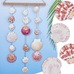 500G Natural Shell Ornaments&nbsp;DJEW-FH0001-35A