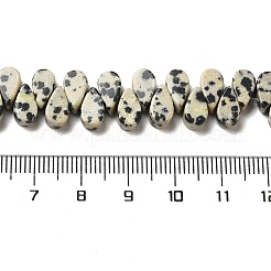 Natural Dalmatian Jasper Beads Strands&nbsp;G-B064-B11