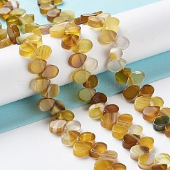 Natural Agate Beads Strands&nbsp;G-G021-04A-10