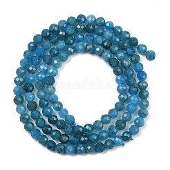 Natural Apatite Beads Strands&nbsp;G-E411-36-3mm-01