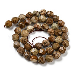 Natural Picture Jasper Beads Strands&nbsp;G-C085-A02-01
