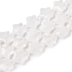 Natural Quartz Crystal Beads Strands&nbsp;G-T138-186