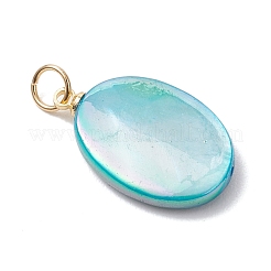 Dyed Natural Freshwater Shell Pendants&nbsp;PALLOY-JF05051