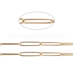 304 Stainless Steel Paperclip Chains&nbsp;CHS-C006-11G
