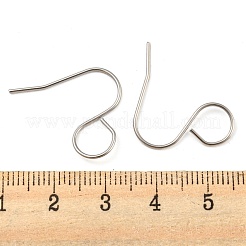 316 Surgical Stainless Steel Earring Hooks&nbsp;STAS-D093-01B-P