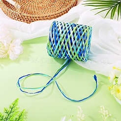 Raffia Ribbon&nbsp;OCOR-TA0004-21C