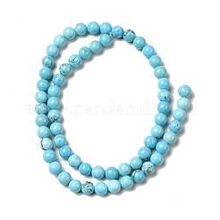 Dyed & Heated Natural Magnesite Beads Strands&nbsp;G-G924-01B-03