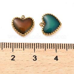 304 Stainless Steel Enamel Charms&nbsp;STAS-L022-094G