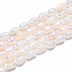 Natural Cultured Freshwater Pearl Beads Strands&nbsp;PEAR-N014-04G