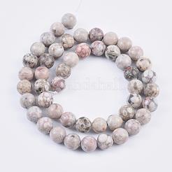 Natural Maifanite/Maifan Stone Beads Strands&nbsp;G-F353-8mm