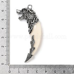 Alloy Resin Big Pendants&nbsp;ALRI-S001-15AS-01