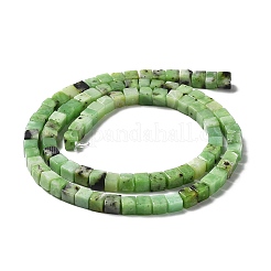 Natural Serpentine Beads Strands&nbsp;G-L585-C01-01