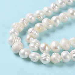 Natural Cultured Freshwater Pearl Beads Strands&nbsp;PEAR-E018-50