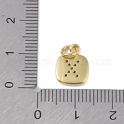 Rack Plating Brass Micro Pave CLear Cubic Zirconia Charms&nbsp;KK-E110-14G-X