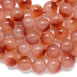 Natural Malaysia Jade Beads Strands&nbsp;G-B165-C01-14mm