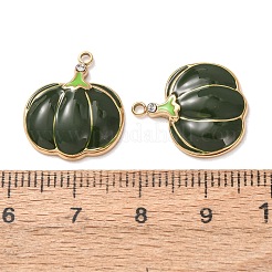 304 Stainless Steel Pendants&nbsp;SA-D002-11B-G