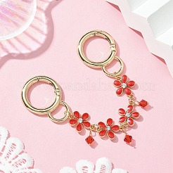 Zinc Alloy Spring Gate Rings Bag Extension Chains&nbsp;AJEW-BA00142-01