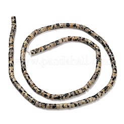 Natural Dalmatian Jasper Beads Strands&nbsp;G-P608-A04-01