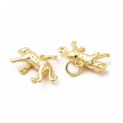 Rack Plating Brass Pendants&nbsp;KK-H436-12G