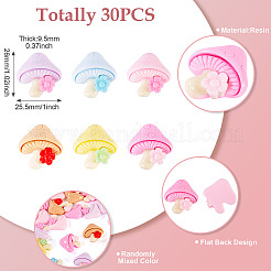 30Pcs Opaque Resin Cabochons&nbsp;CRES-TA0001-46